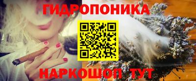 сатива Обнинск