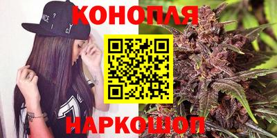 сатива Обнинск
